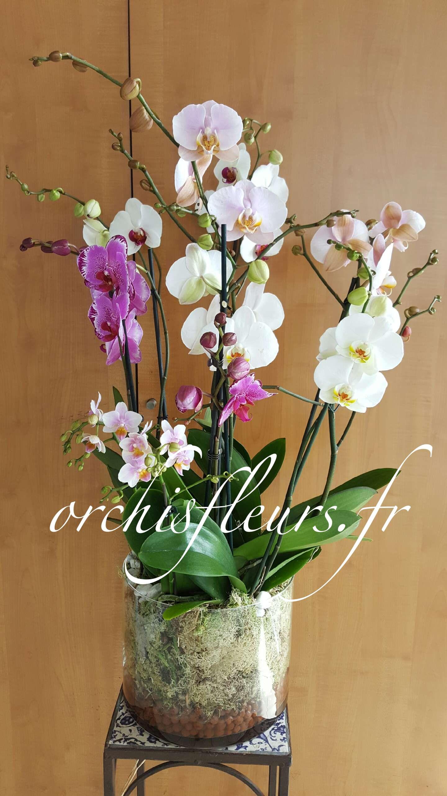 20160526-165117-resultat-134662.jpg null