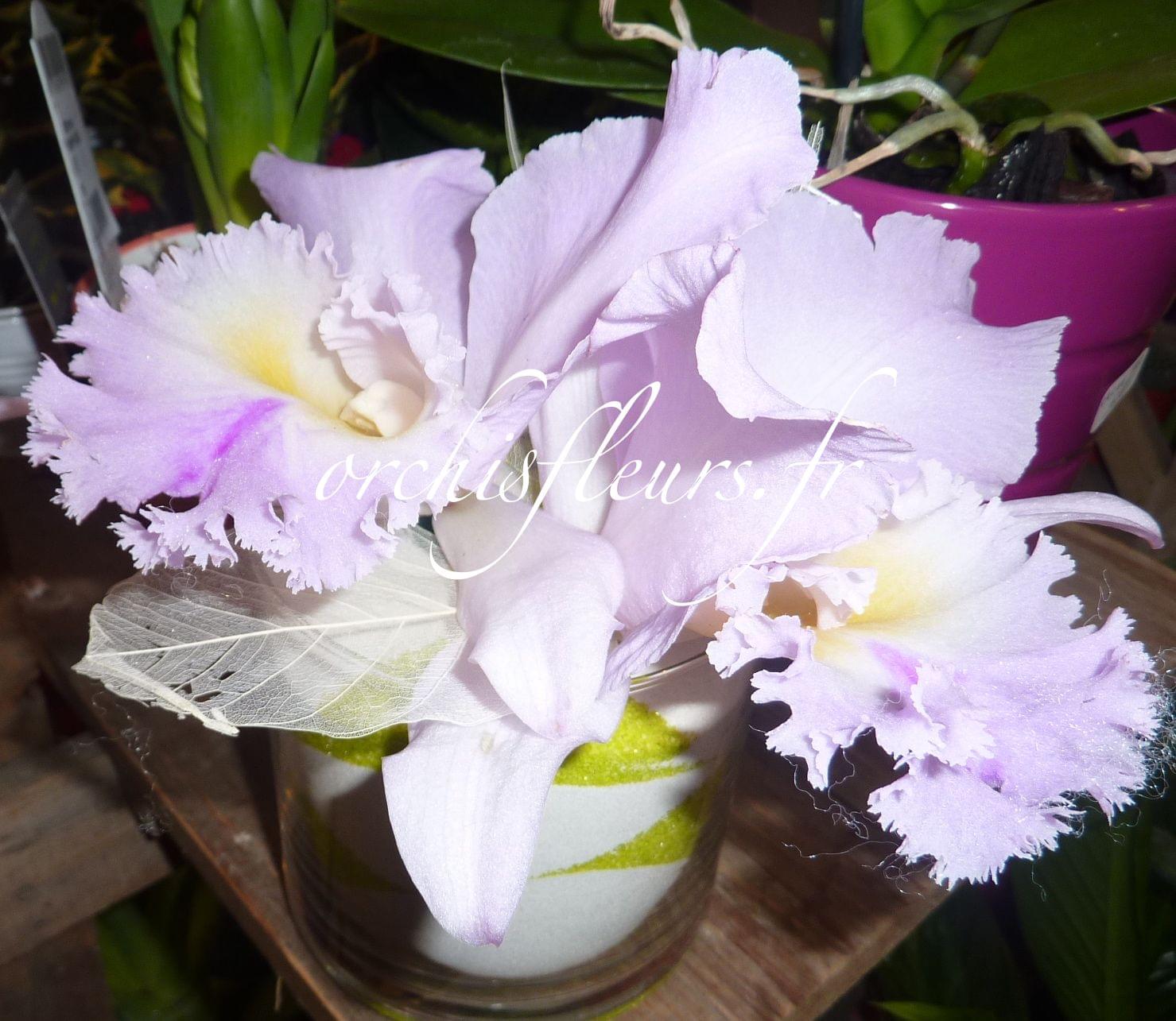 Centre de table rond fleuriste Bois d'Arcy Centre de table rond fleuriste Bois d'Arcy