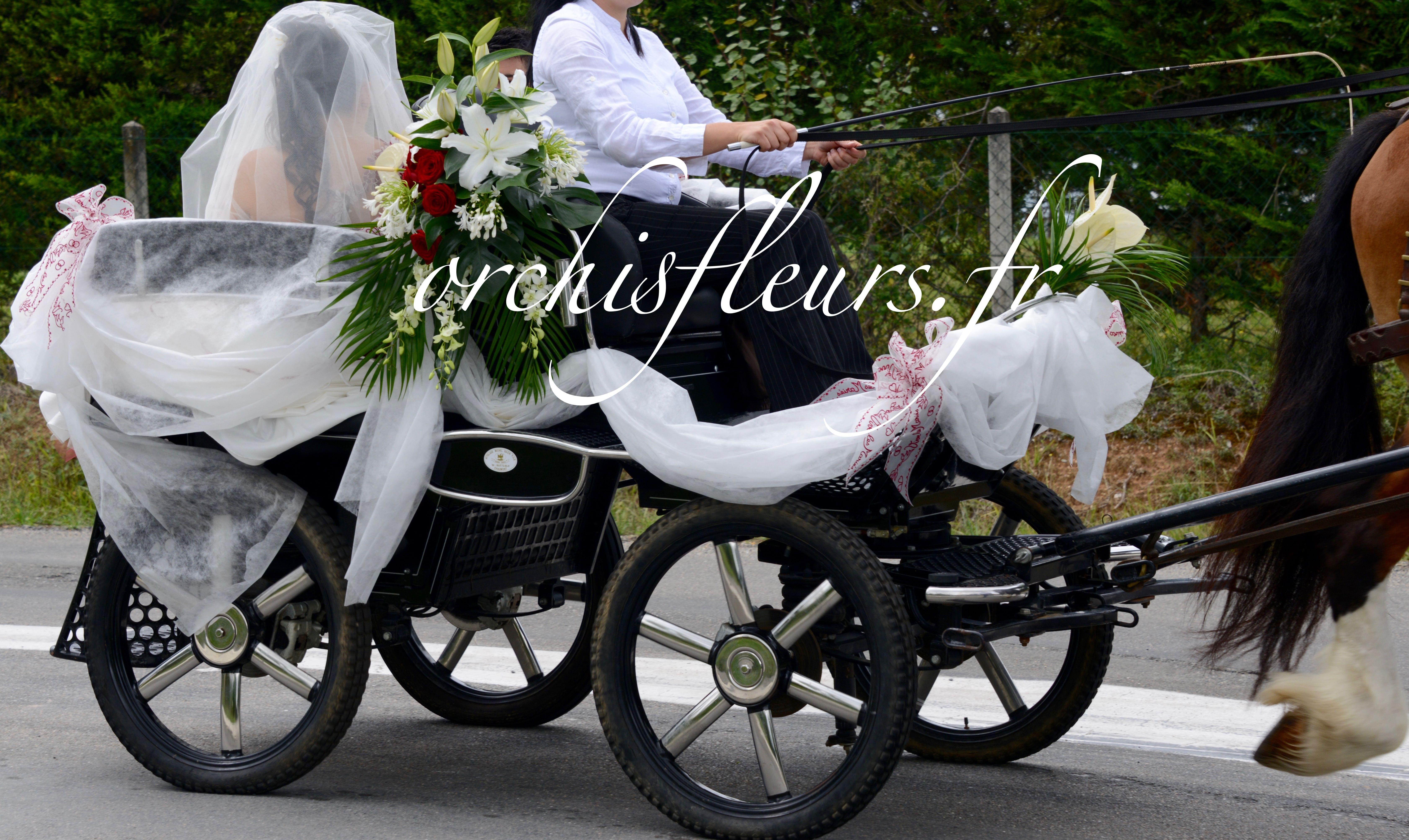 dsc-0375-resultat-134125.jpg null