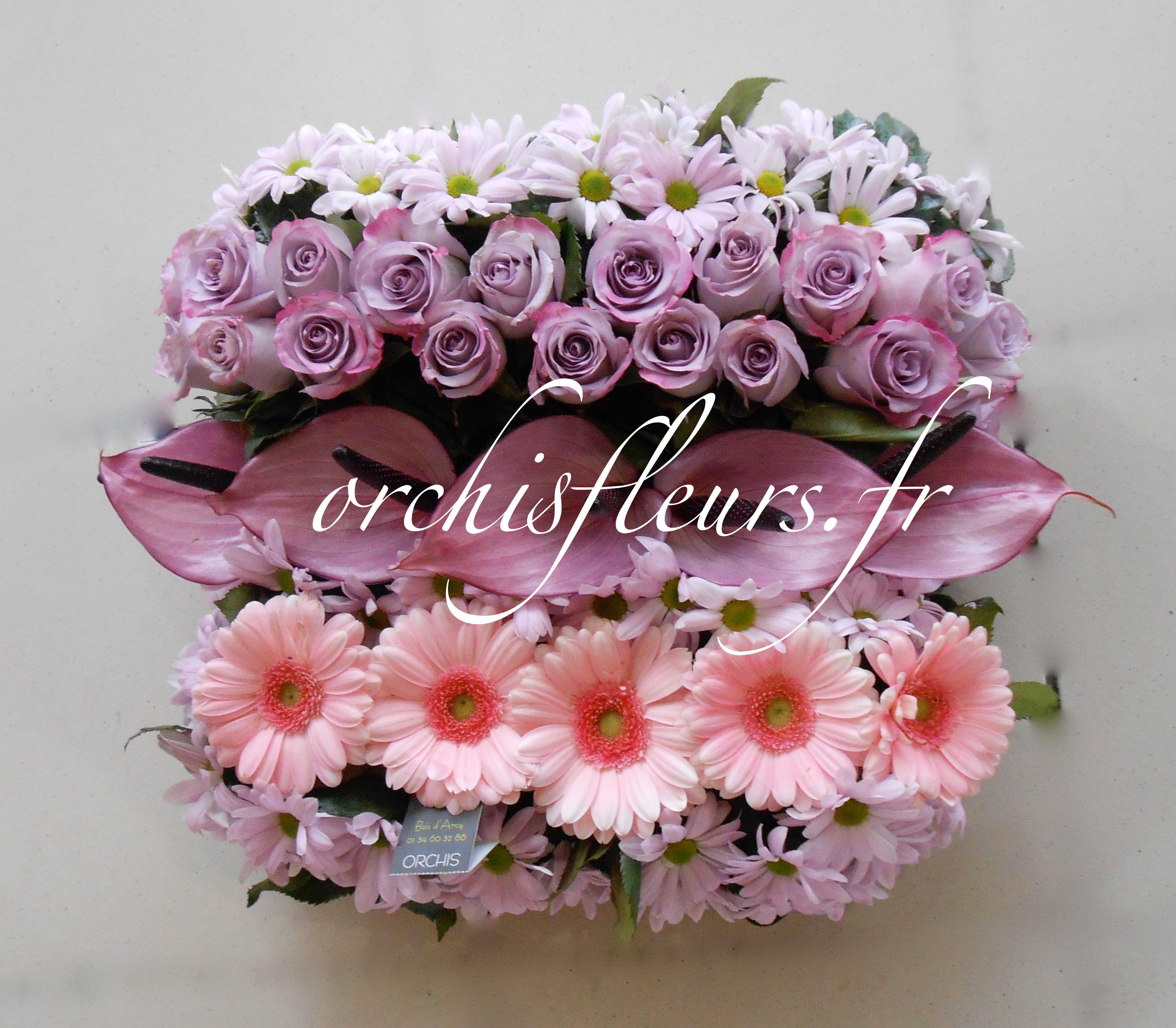 dscn0032-resultat-134950.jpg null