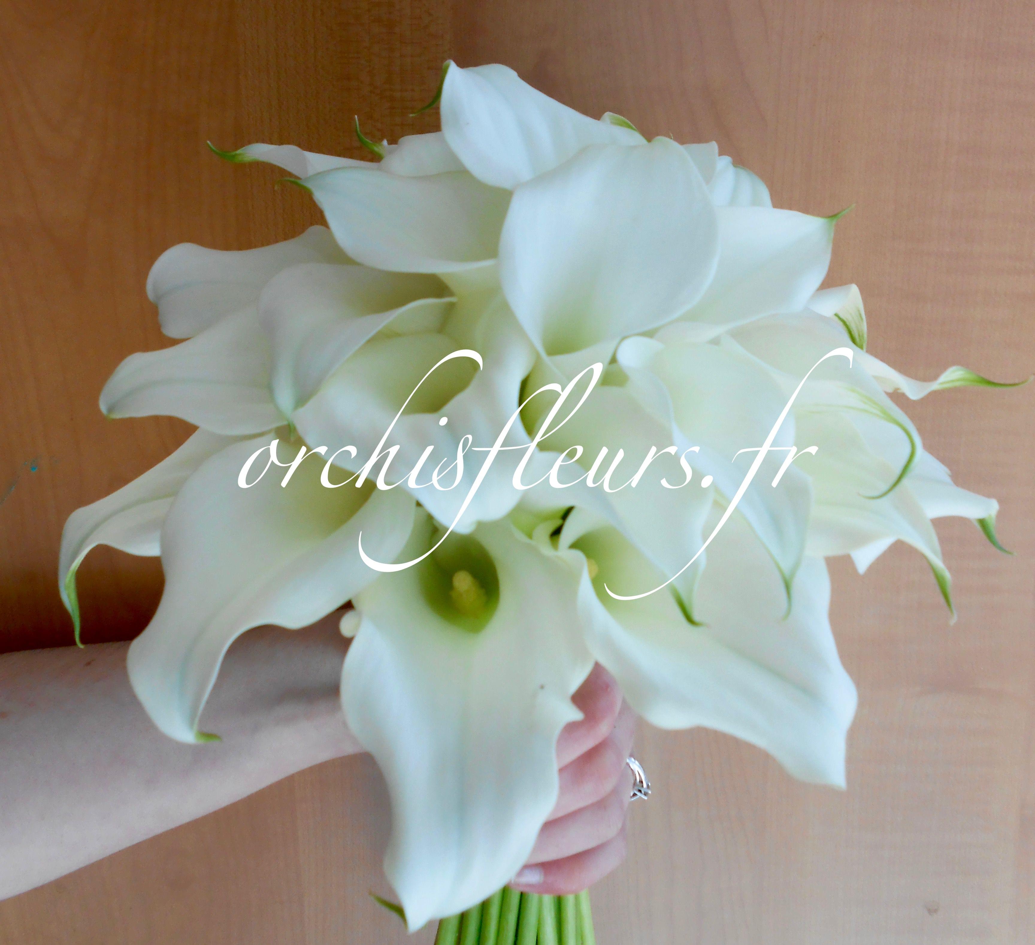 dscn0155-resultat-134974.jpg null