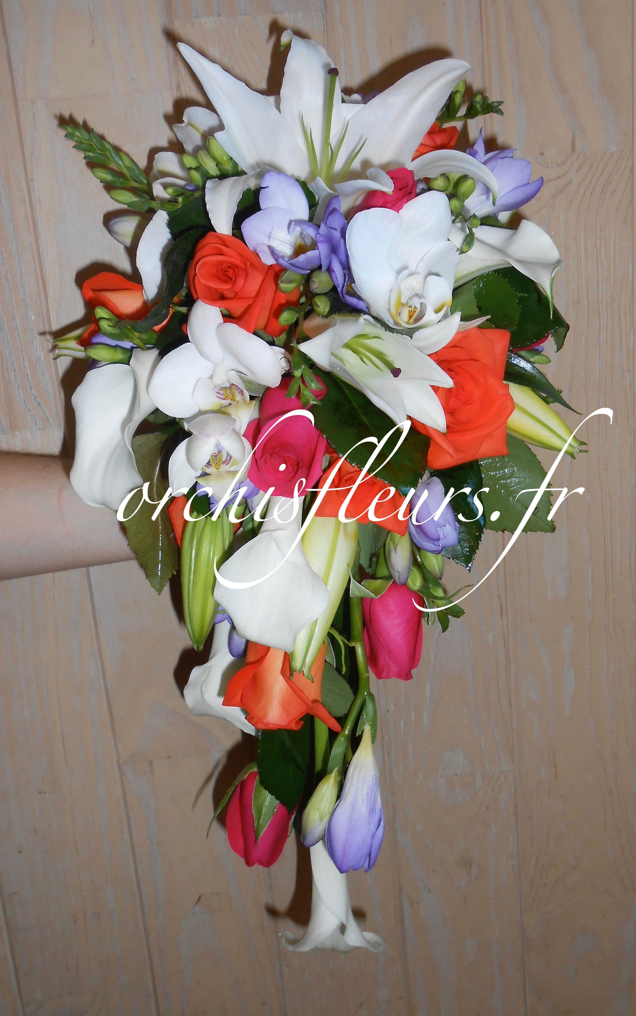 dscn0464-resultat-135044.jpg null