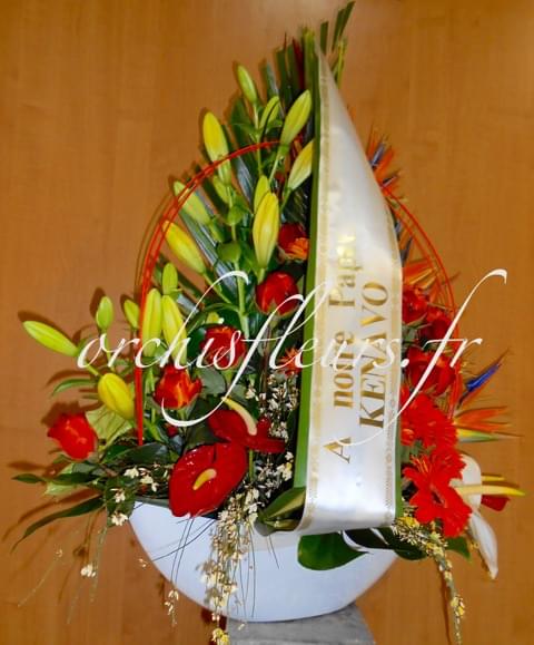 portes du paradis null