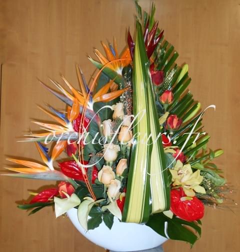 dscn0880-resultat-118422.jpg null