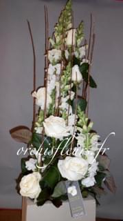 dscn1149-1-resultat-138424.jpg null