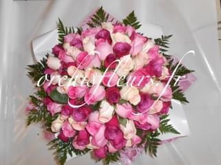 dscn1151-resultat-138415.jpg null