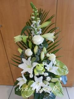 dscn1156-resultat-138423.jpg null