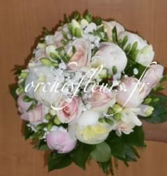 dscn1285-resultat-138413.jpg null