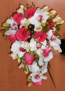 dscn1307-resultat-138409.jpg null