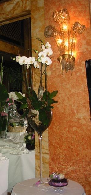 nccop774-118463.jpg null