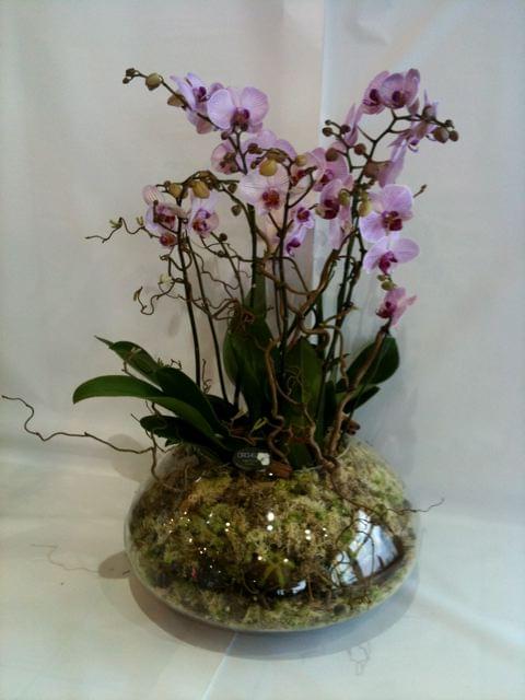 nccop849-118459.jpg null