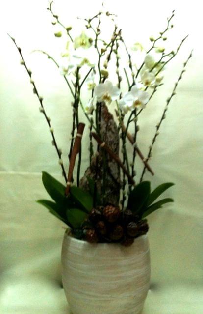 nccop885-118461.jpg null