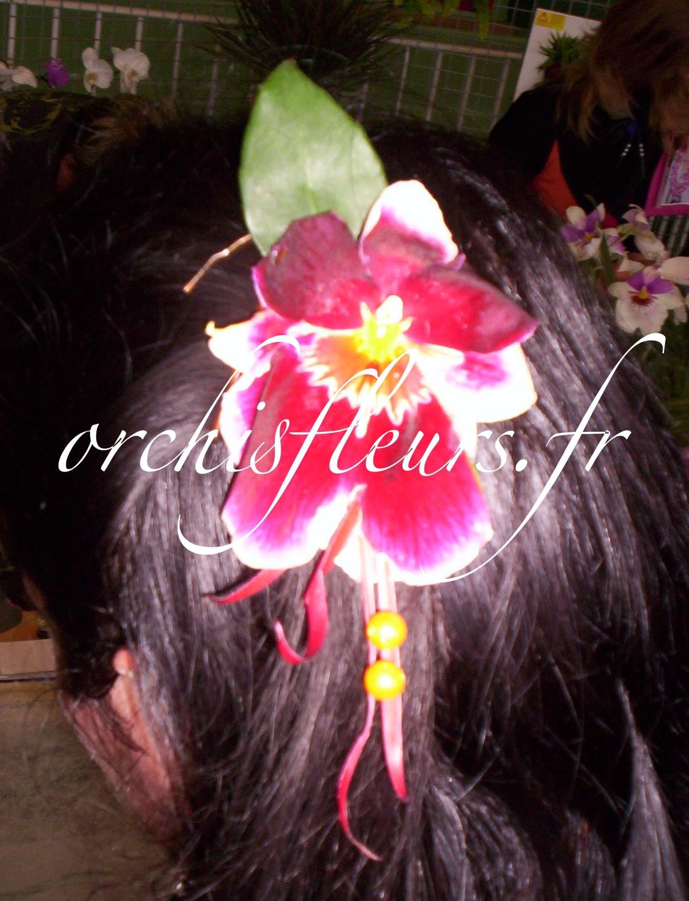 parure-bois-darcy1-44899-134685.jpg null